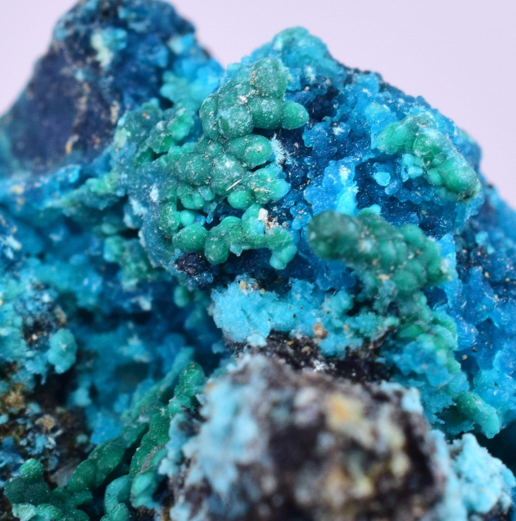 3.1cms  QUARTZ CHRYSOCOLLA TENTADORA Mine Peru Grape Botryoidal Stalactite Crystals Rare Ajoite (?)Mineral Specimen Collectors C12