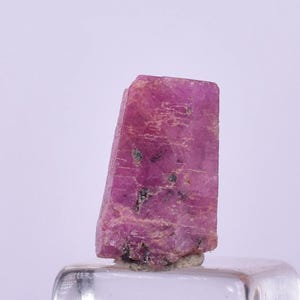 Puede incluir: Una gema de rubí natural en bruto. El rubí es de un color rojo rosado intenso con una superficie rugosa y texturizada. La gema está de pie sobre una superficie clara y reflectante, con un fondo blanco suave.