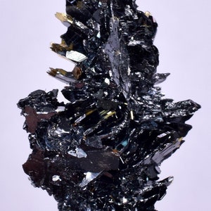 2.7cms GOLDEN RUTILE HEMATITE Spray Needles Crystals Titanium Bahia Brazil Mineral Spacimen  X23