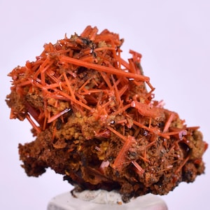 Könnte beinhalten: Ein lebendiges orangefarbenes Mineralexemplar mit einer komplexen, stacheligen Struktur. Die Farbe des Minerals ist ein tiefes, sattes Orange mit einer rauen, strukturierten Oberfläche. Das Mineral sitzt auf einem weißen Sockel und zeigt seine komplizierte Kristallbildung.