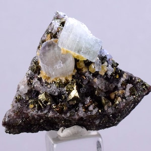 May include: A cluster of light blue aquamarine crystals on a dark gray matrix with gold pyrite crystals.