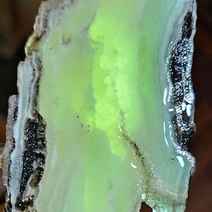 May include: A green and white agate slice with a translucent, green center. The agate has a layered, banded pattern and a rough, natural edge.