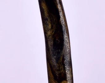 3.5cms GOLDEN BLACK CORAL Polished Peru Natural Jewelry Pendant Vb15
