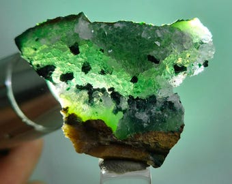 4.4cms GEM CLINOATACAMITE DRUZY Chrysocolla Crystal Lily Mine Peru Db323