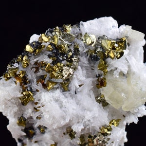 May include: A cluster of white quartz crystals with gold and black pyrite crystals. The quartz crystals are long and thin, while the pyrite crystals are cubic and have a metallic luster.