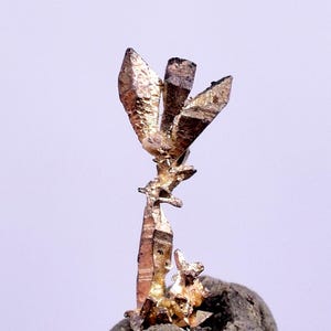 Puede incluir: Una delicada formación cristalina de cobre, con un tono dorado, se alza sobre una roca gris. Los cristales de cobre son afilados e intrincados, asemejándose a una flor.