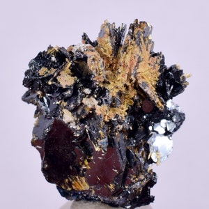 2.5cms GOLDEN RUTILE HEMATITE Spray Needles Crystals Titanium Bahia Brazil Mineral Spacimen  X20