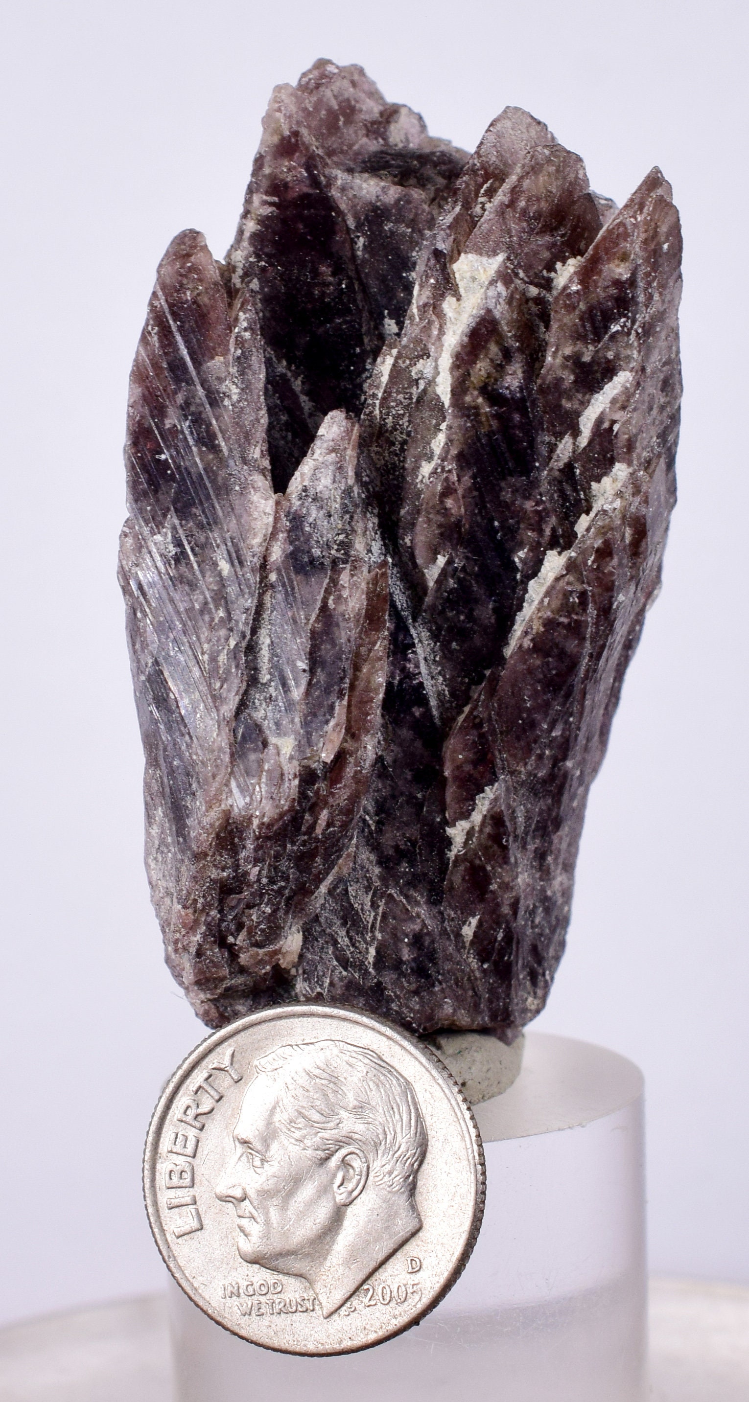 5cm 宝石アキシナイト結晶光沢のあるペルー鉱物標本コレクター A547