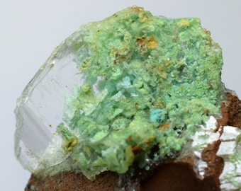 3.4cm SELENITE IN CHRYSOCOLLA lily mine quartz malachite mineral specimen T111