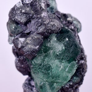 Op de afbeelding: Een groen fluorietkristal met een donkergrijze, metalen matrix. De fluoriet is doorschijnend en heeft een glazige glans. De matrix is ruw en getextureerd.