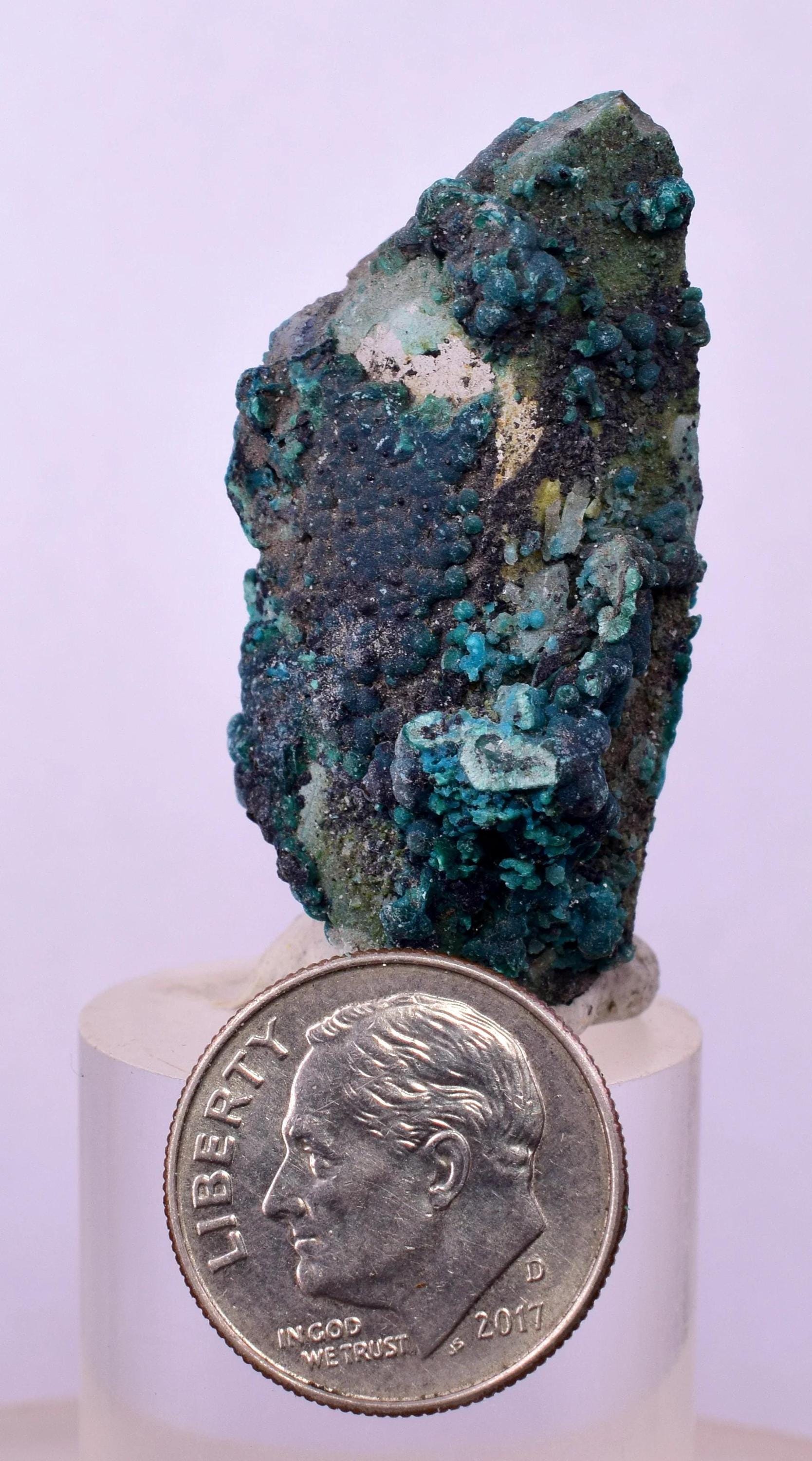 3.7cms クォーツ クリソコラ ボトリオイド テンプタドーラ鉱山 ペルー
