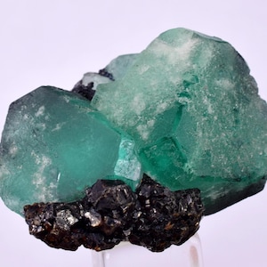 May include: A cluster of translucent, teal-green fluorite crystals with dark, almost black, mineral inclusions. The crystals have a cubic structure and are set against a white background. The mineral specimen is a natural, geological formation.
