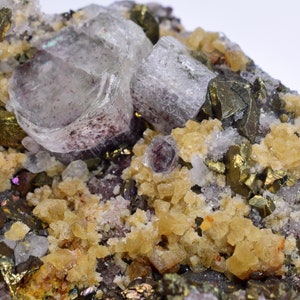 May include: Close-up of a mineral specimen with a cluster of small, clear, cubic crystals. The crystals are surrounded by a matrix of dark gray and gold-colored minerals.