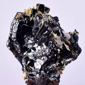 2.8cms GOLDEN RUTILE HEMATITE Spray Needles Crystals Titanium Bahia Brazil Mineral Spacimen  X15