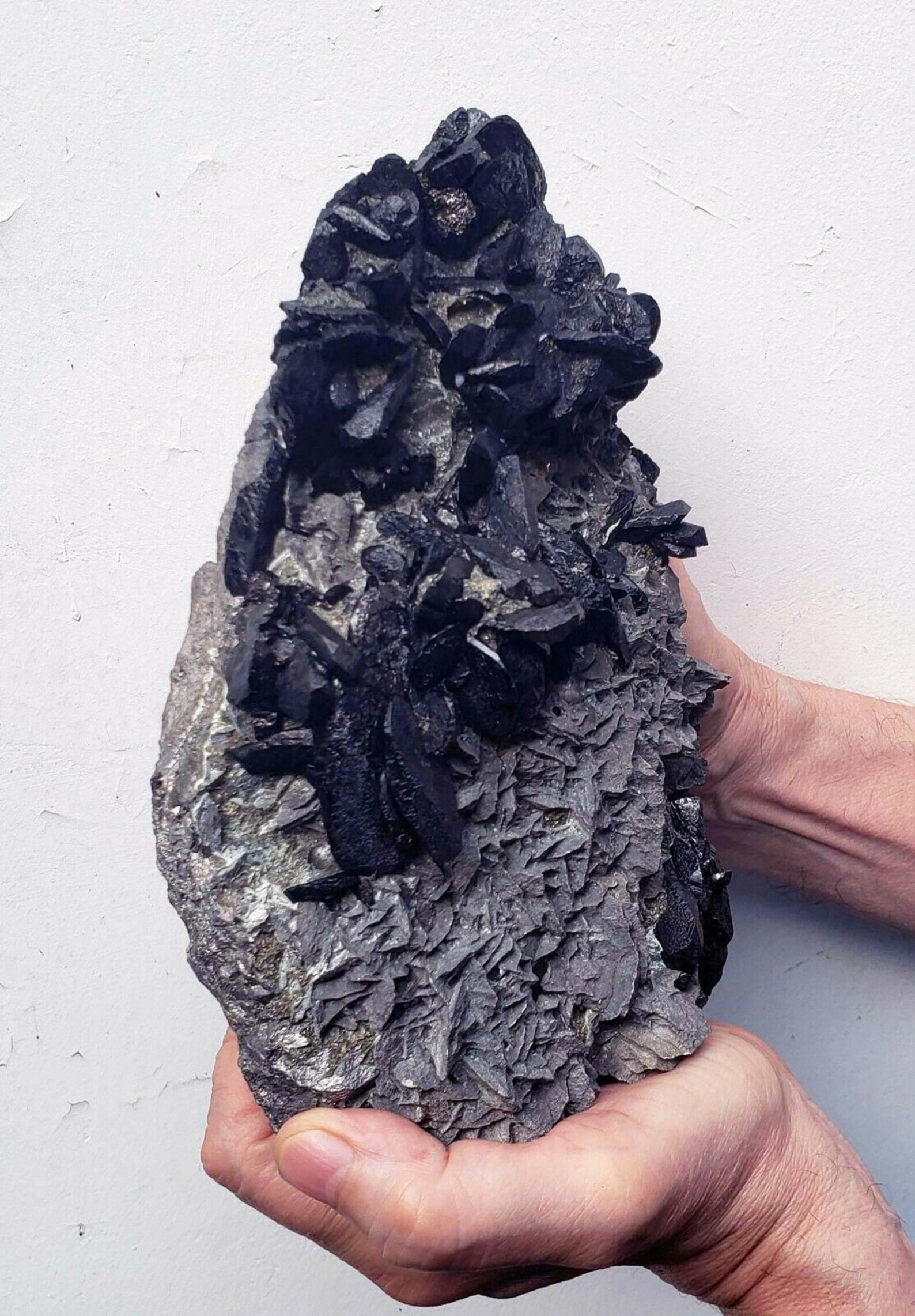 22cms MUSEUM FERBERITE WOLFRAMITE tungsten crystals bolivia Etsy