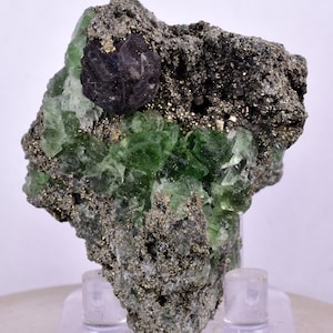 Op de afbeelding: Een groen fluorietmonster met een groot, donkergrijs, metaalachtig pyrietkristal. De fluoriet is ingebed in een matrix van grijs pyriet.