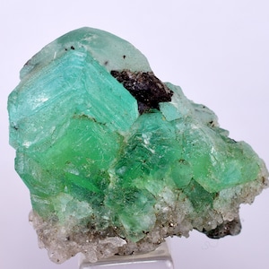 Op de afbeelding: Een cluster van groene fluorietkristallen met een donkergrijze mineraalinclusie. De fluorietkristallen zijn scherp en goed gedefinieerd, met een glazige glans. Het exemplaar is geplaatst op een witte achtergrond.