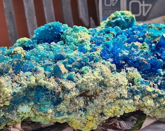 50 cm MUSEO NATURALE CALCANTHITE Gigante Perù Rame Botrioidali Cristalli Druzy Traslucido Blu Elettrico Lucido Minerale Specimen