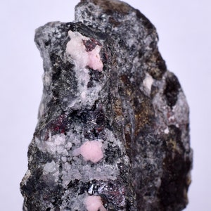 Op de afbeelding: Een cluster van roze kristallen ingebed in een donkergrijze rotsmatrix. De kristallen zijn doorschijnend en hebben een licht metalen glans.