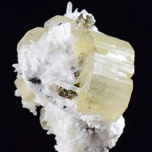 May include: A cluster of pale yellow, translucent crystals with a striated texture, surrounded by white, opaque crystals and small, metallic gold crystals.