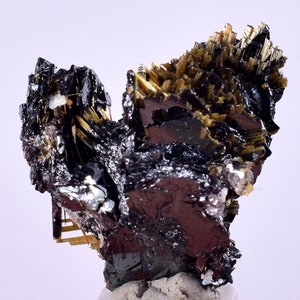 2.3cms GOLDEN RUTILE HEMATITE Spray Needles Crystals Titanium Bahia Brazil Mineral Spacimen  X13