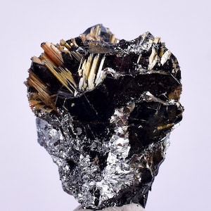 2cms GOLDEN RUTILE HEMATITE Spray Needles Crystals Titanium Bahia Brazil Mineral Spacimen  X16