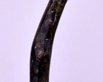 3.2cms GOLDEN BLACK CORAL Polished Peru Natural Jewelry Pendant Vb6