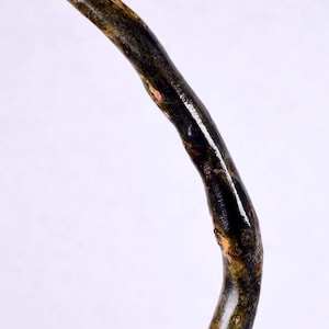 6.1cms GOLDEN BLACK CORAL Polished Peru Natural Branch Sea Genuine for Pendant Beads Jewelry Cabochon VE58