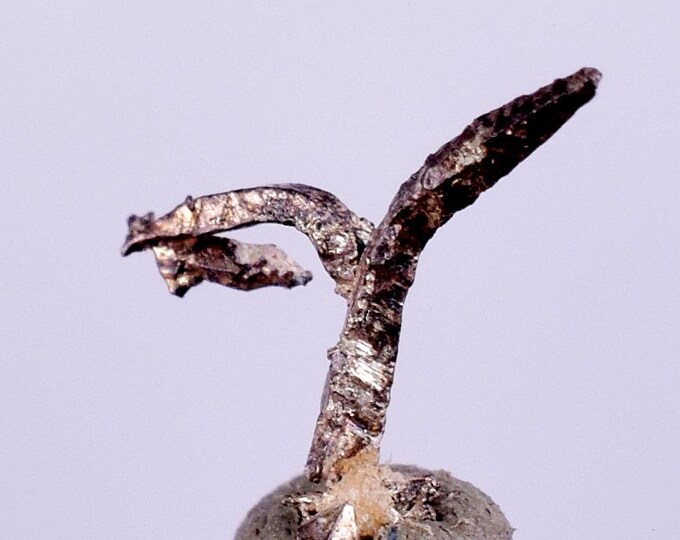 2.2cm NATIVE SILVER ACANTHITE Electrum (?)peru Silver Wires Nixon Face ...