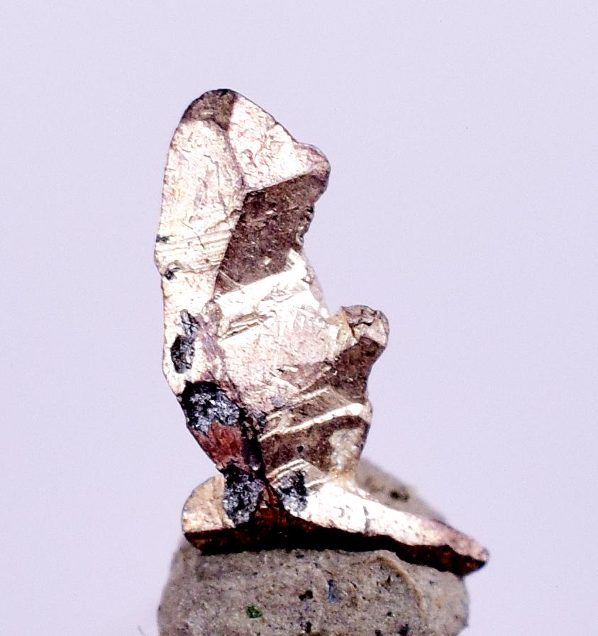 0.6cms NATIVE SILVER WIRES  Peru Mineral Specimen H378