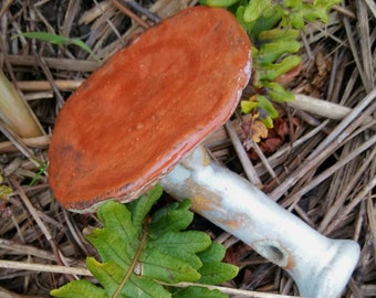 Strategy For Maximizing Magic Mushroom Spores Buy