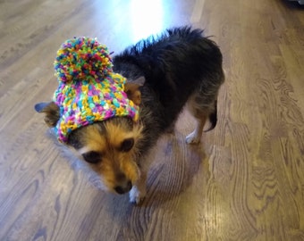 Rainbow Crochet Dog Hat with Braids & Pom-Pom