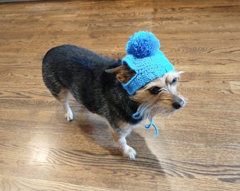 Blue Crochet dog hat with braids and pom-pom