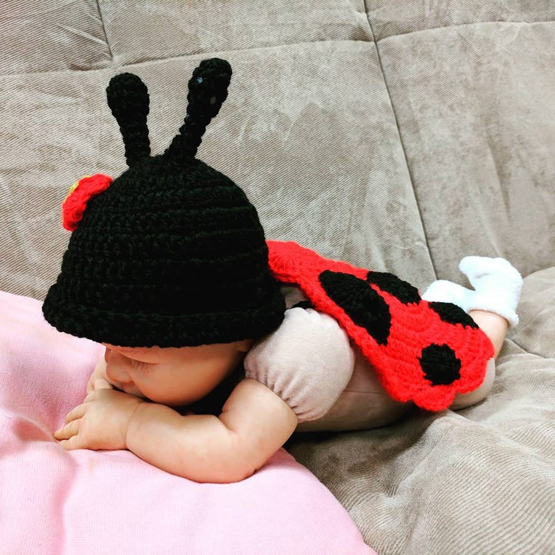 newborn ladybug costume