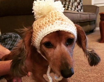 Crocheted Dog Hat with Braids and Pom-Pom