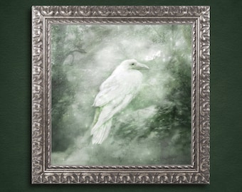 Celtic Raven Painting, Raven Canvas Art, Raven Spirit Animal, White Raven Art, Mythic Creature, White Raven Painting