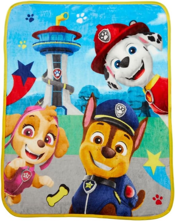Paw patrol mink blanket deals