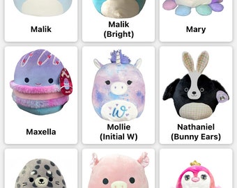 Medium CUSTOM Personalized Squishmallow plush  - New with Tags - with ANY NAME
