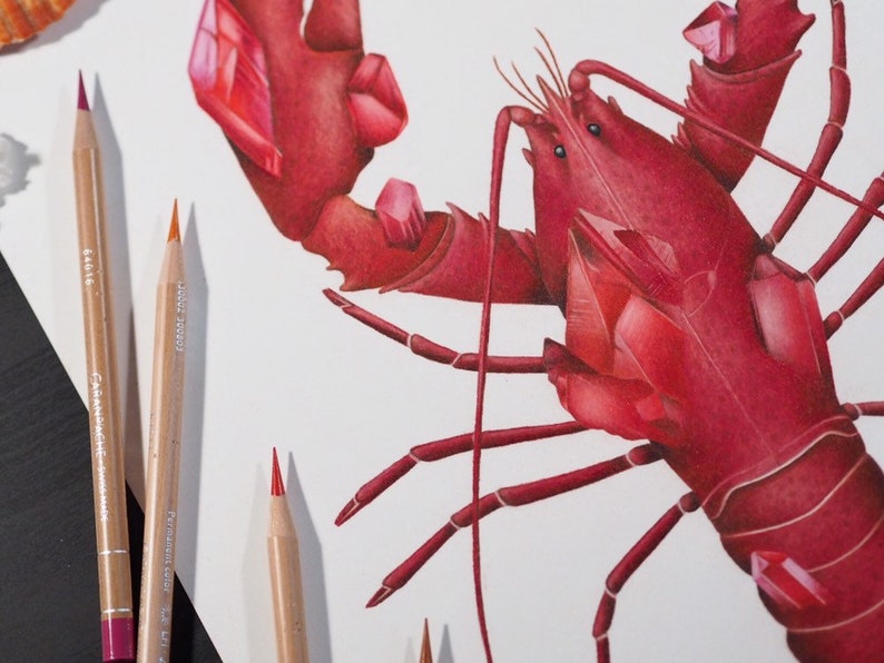 Ruby Lobster Coloured Pencil Illustration July Birthstone Ocean Lovers Gift Decoration Red Fine Art Print