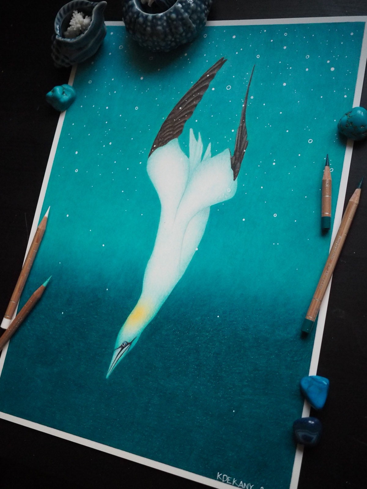 The Diving Gannet Fine Art Print Extra Heavyweight Matte A3 Seabird ...