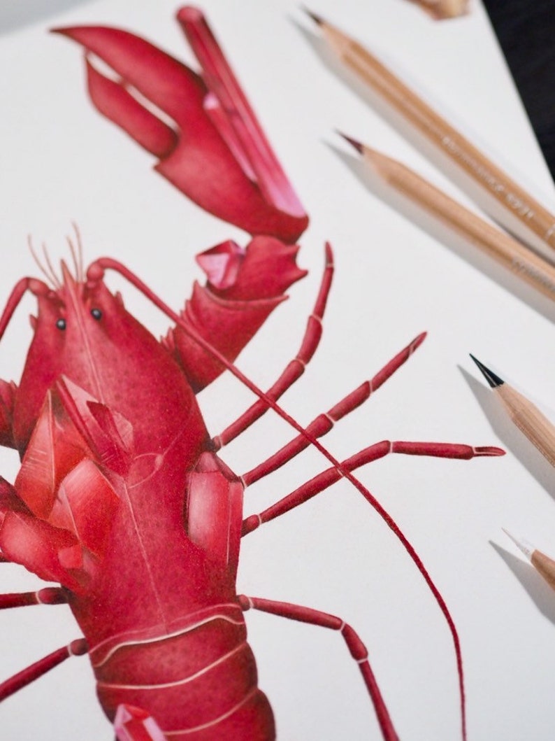 Ruby Lobster Coloured Pencil Illustration July Birthstone Ocean Lovers Gift Decoration Red Fine Art Print