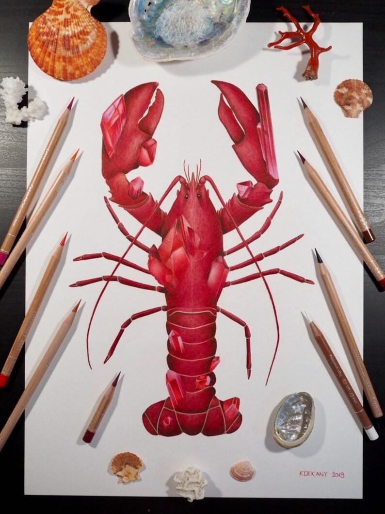 Ruby Lobster Coloured Pencil Illustration July Birthstone Ocean Lovers Gift Decoration Red Fine Art Print