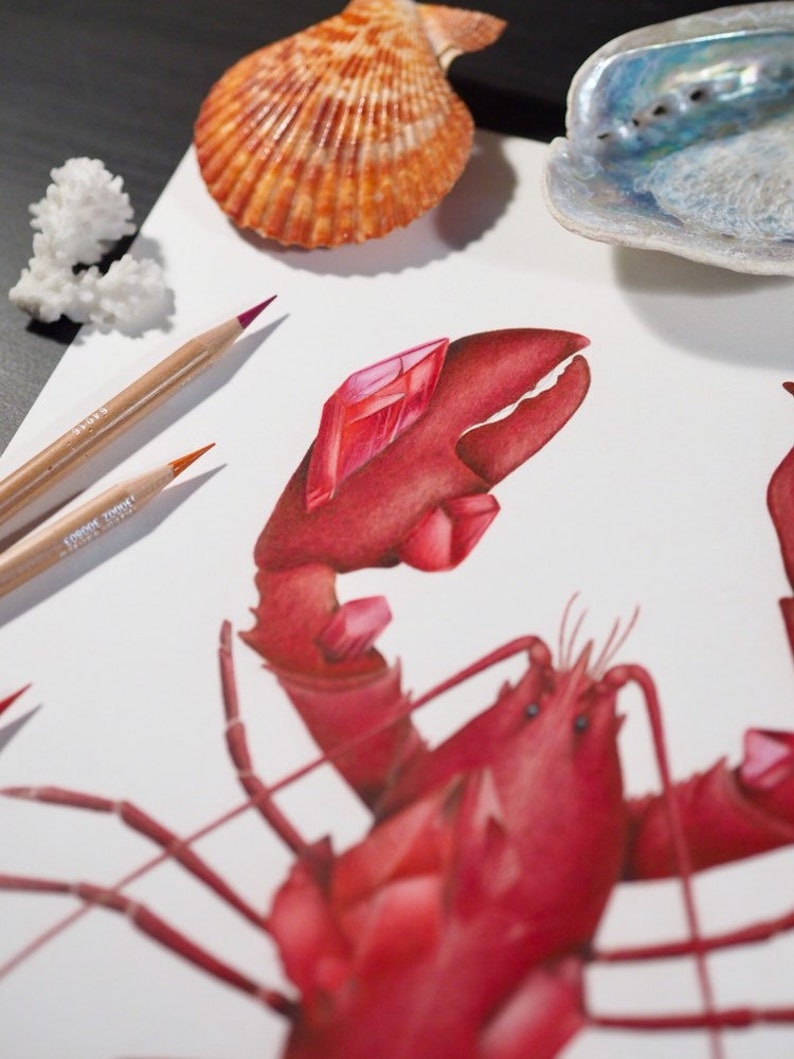 Ruby Lobster Coloured Pencil Illustration July Birthstone Ocean Lovers Gift Decoration Red Fine Art Print