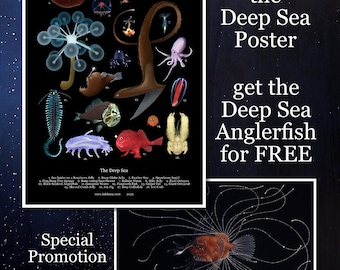 Sonderaktion Gratis Anglerfisch Print passend zum Tiefsee Poster