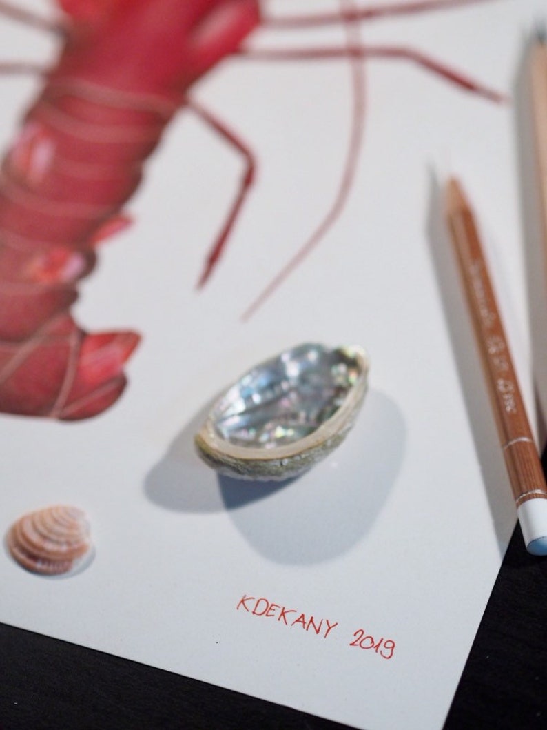 Ruby Lobster Coloured Pencil Illustration July Birthstone Ocean Lovers Gift Decoration Red Fine Art Print