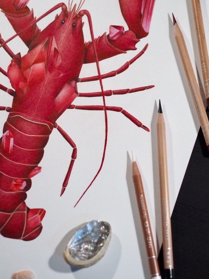 Ruby Lobster Coloured Pencil Illustration July Birthstone Ocean Lovers Gift Decoration Red Fine Art Print