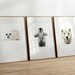 see more listings in the Todo section