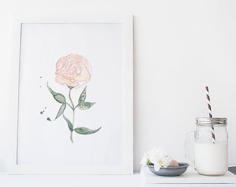 Affiche rose / illustration fleur / Aquarelle / Reproduction / style minimaliste / Cynthia Paquette