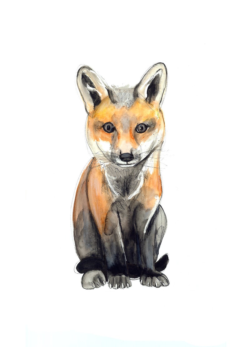 Birth gift print / Baby nursery decor / Cynthia Paquette / fox print / forest nursery / fox watercolor / fox decor image 2