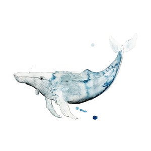 May include: Watercolor painting of a blue whale swimming in the ocean. The whale is painted in shades of blue and gray, with a white belly. The painting is set against a white background.